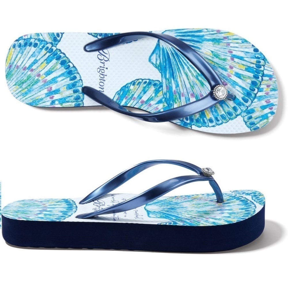 Brighton Women’s CALYPSO SHELL Sand Flip Flops
STYLE SAND NVY2 Navy Blue White 7 - Picture 4 of 15